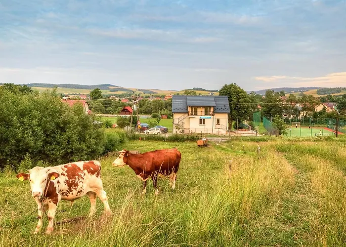 Stara Mleczarnia تيلسز